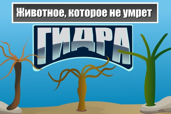 Что такое кракен сайт в россии