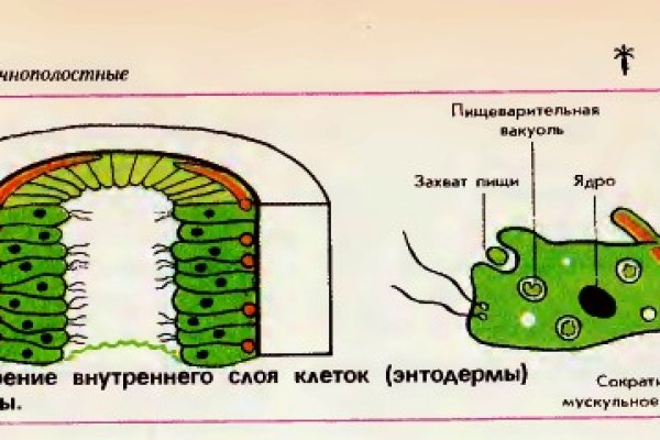 Ссылка на kraken at