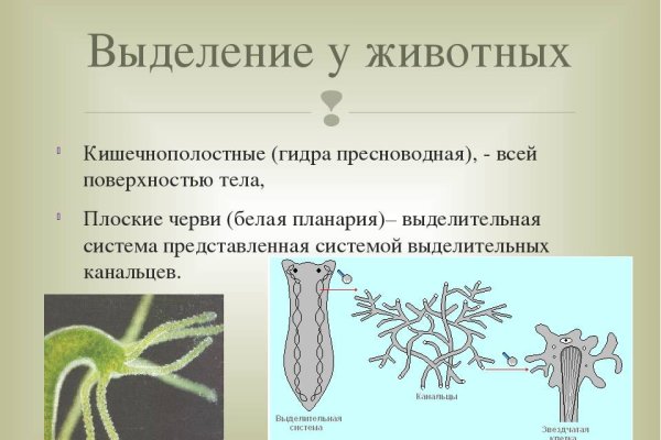 Кракен сайт тор ссылка