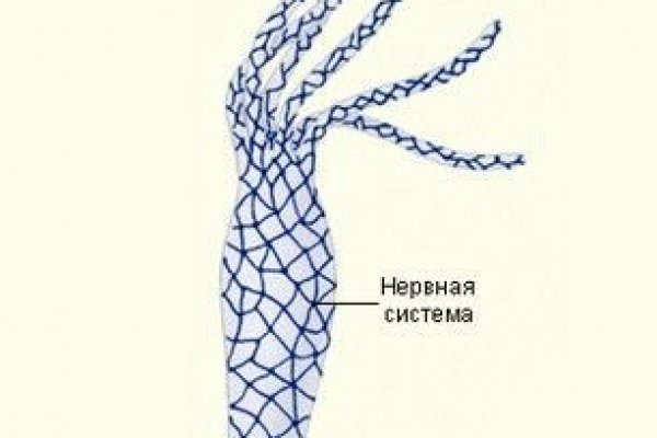 Кракен ссылка vtor
