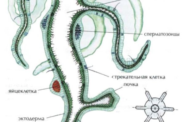 Зарегистрироваться на сайте кракен