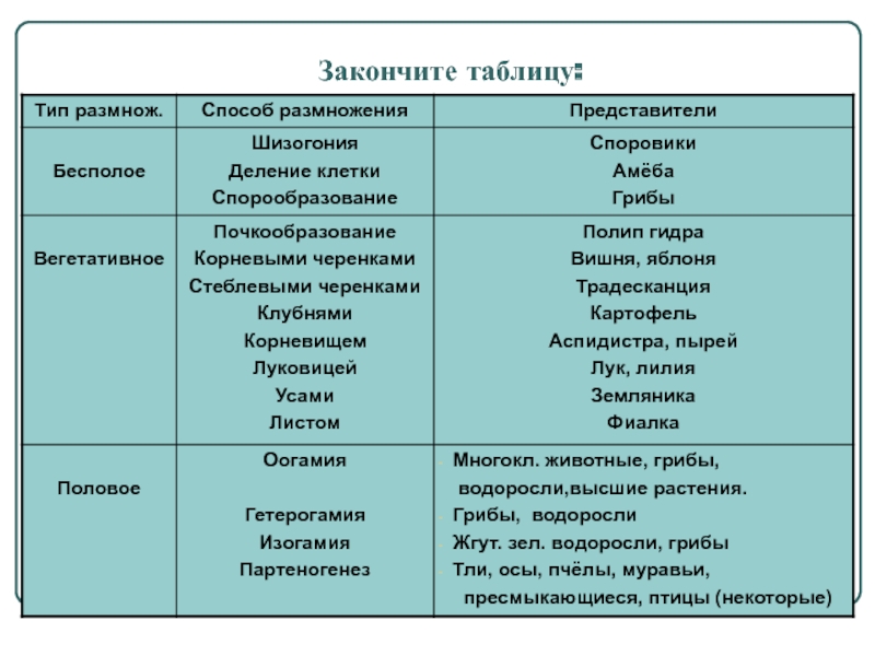 Кракен это современный даркнет маркетплейс