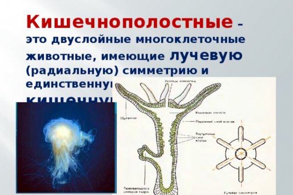 Кракен купить порошок