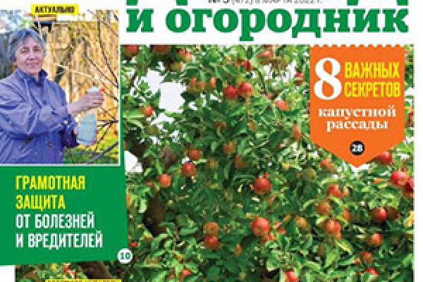 Вывести деньги с кракена