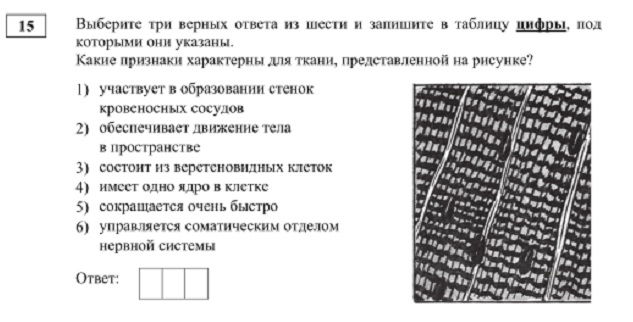 Кракен даркнет маркет
